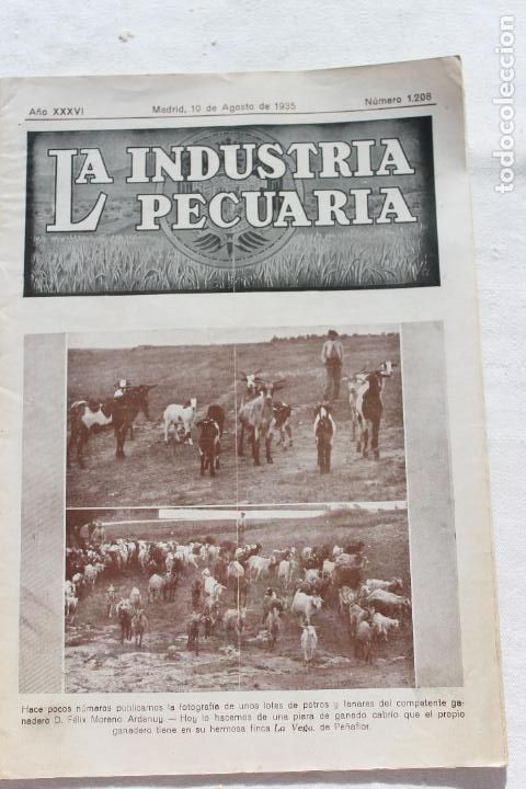 Collection Magazines and Newspapers: LA INDUSTRIA PECUARIA MADRID AGOSTO 1935 N&ordm; 1208