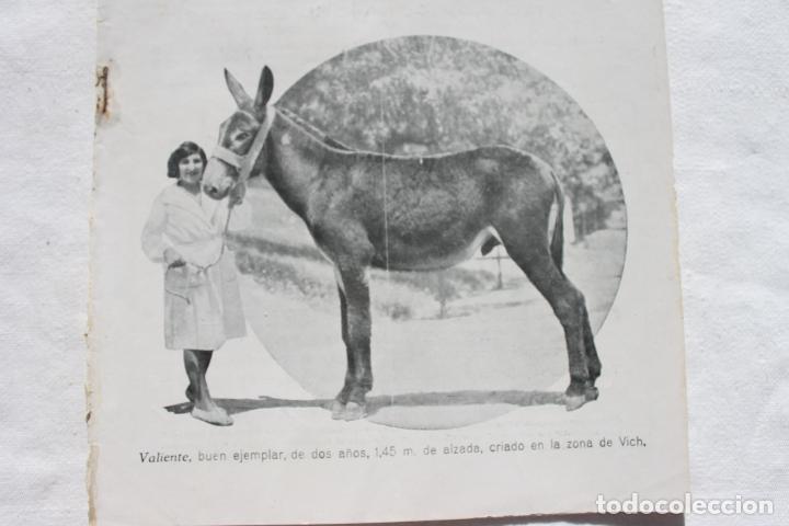 Coleccionismo de revistas y peri&oacute;dicos: LA INDUSTRIA PECUARIA MADRID DICIEMBRE DE 1933 N&ordm; 1149
