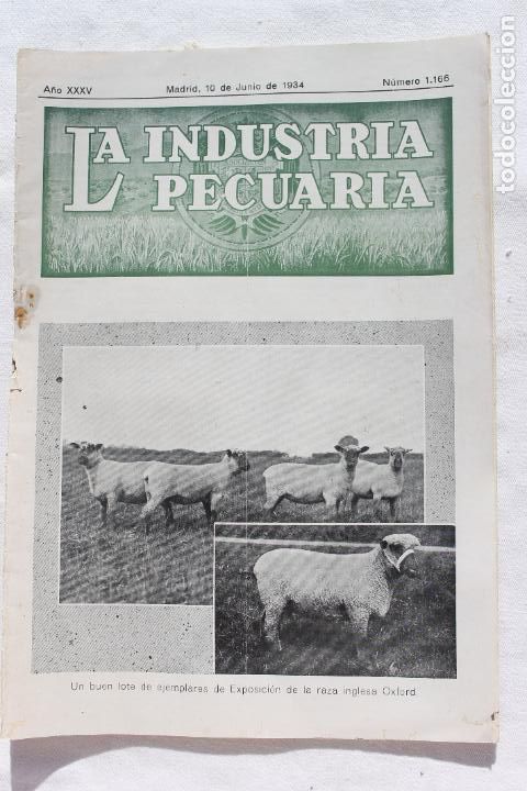 Coleccionismo de revistas y peri&oacute;dicos: LA INDUSTRIA PECUARIA MADRID JUNIO DE 1934 N&ordm; 1166