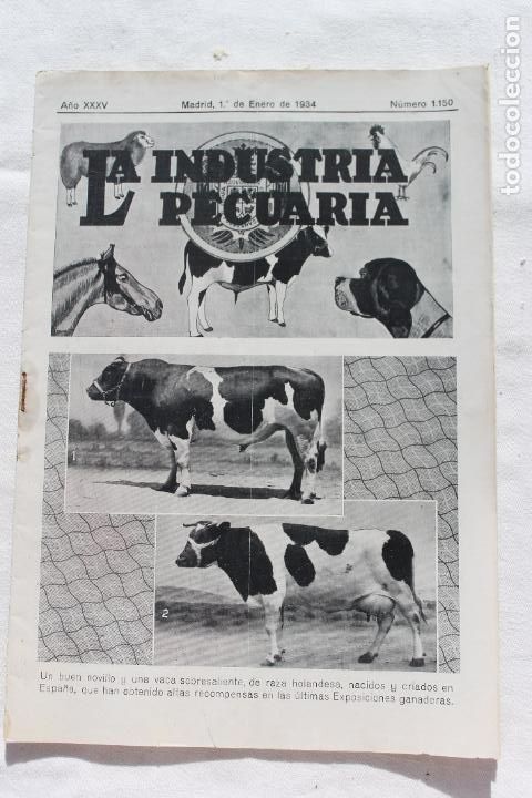 Coleccionismo de revistas y peri&oacute;dicos: LA INDUSTRIA PECUARIA MADRID ENERO DE 1934 N&ordm; 1150