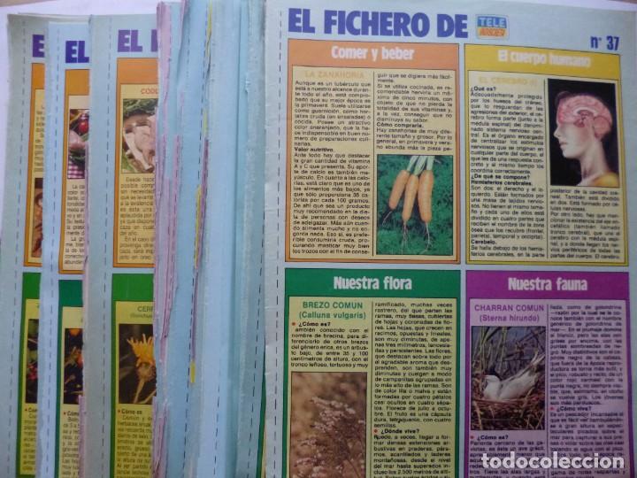 Sammeln von Zeitschriften und Zeitungen: Teleindiscreta.