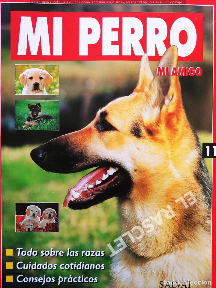 Coleccionismo de revistas y peri&oacute;dicos: MI PERRO MI AMIGO - FASCICULO 11 -EDICIONES SALVAT