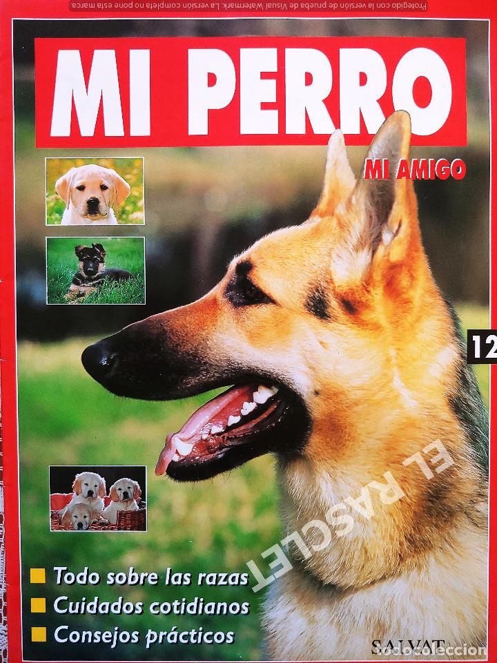 Coleccionismo de revistas y peri&oacute;dicos: MI PERRO MI AMIGO - FASCICULO 12 -EDICIONES SALVAT