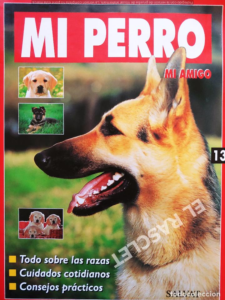 Coleccionismo de revistas y peri&oacute;dicos: MI PERRO MI AMIGO - FASCICULO 13 -EDICIONES SALVAT
