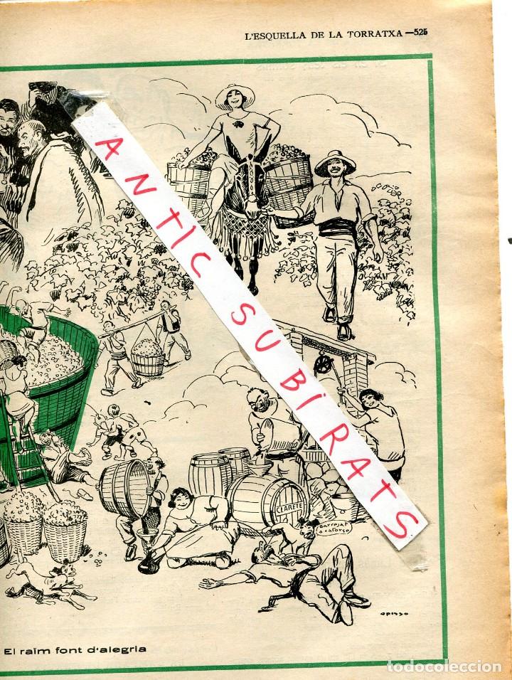 Collezionismo di Riviste e Giornali: REVISTA A&Ntilde;O 1926 CARICATURA DE LA VENDIMIA EN CATALU&Ntilde;A VEREMA A CATALUNYA VI