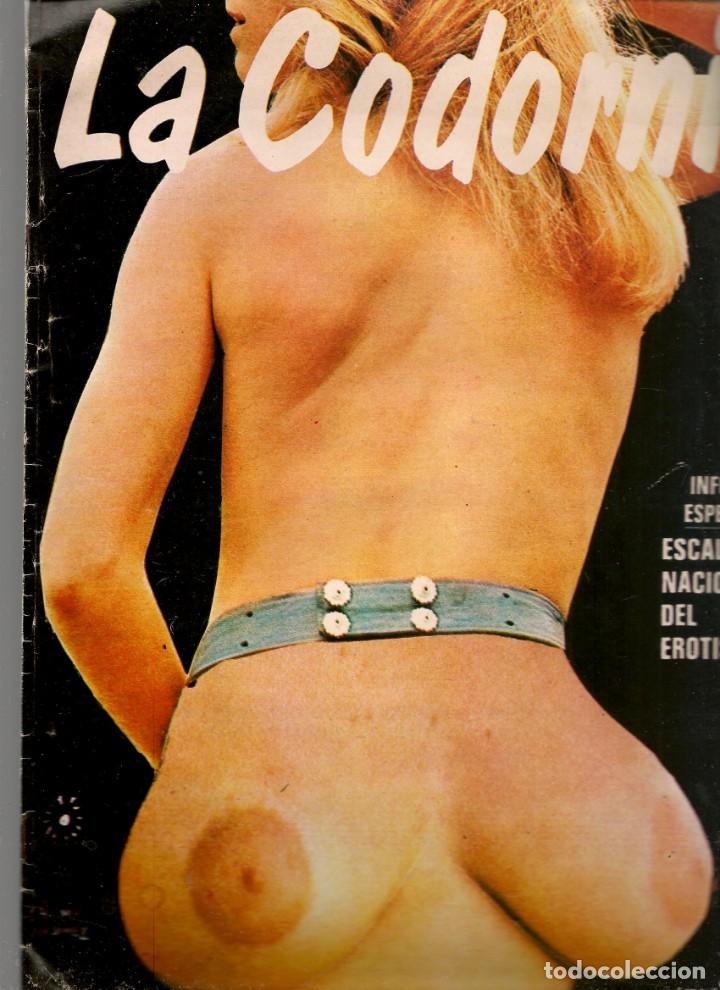 Coleccionismo de Revistas y Peri&oacute;dicos: LA CODORNIZ. N&ordm; 1842. LOS TRANSEXUALES: MANOLO ORANTES. 9 OCTUBRE 1977. (B/30.2)