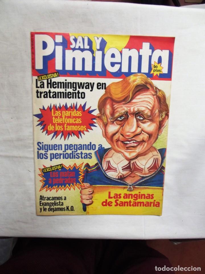Coleccionismo de revistas y peri&oacute;dicos: REVISTA SAL Y PIMENTA N&ordm; 147 JULIO DE 1982