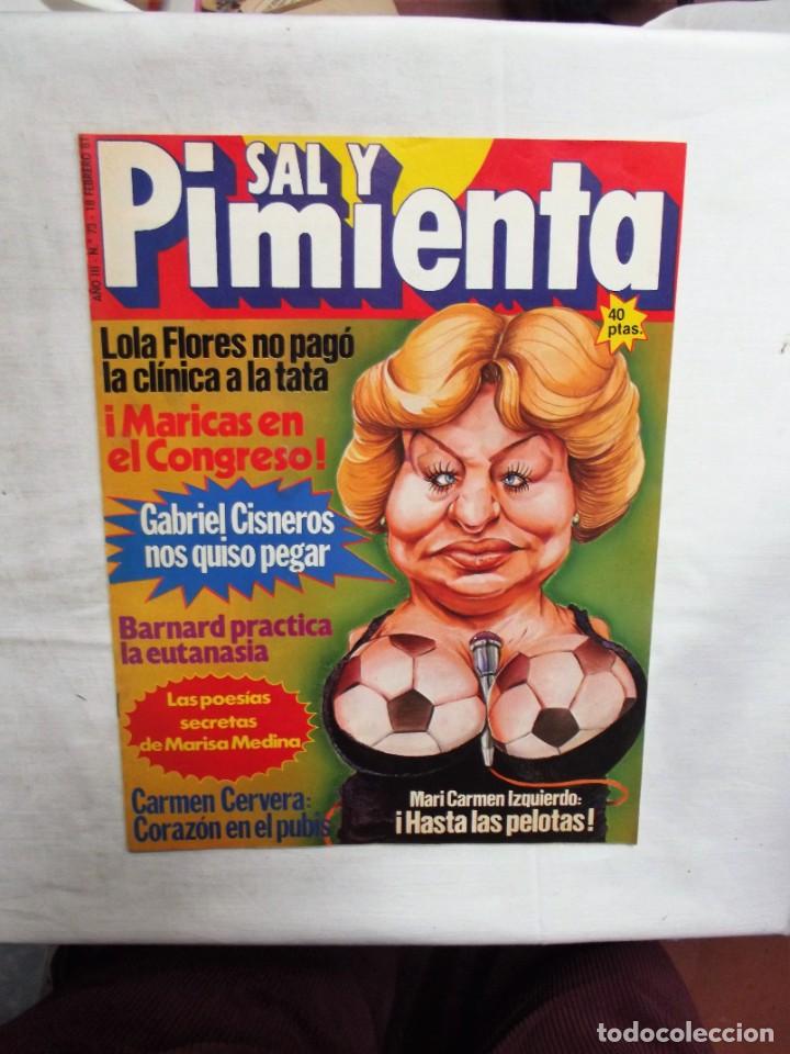 Coleccionismo de revistas y peri&oacute;dicos: REVISTA SAL Y PIMENTA N&ordm; 73 FEBRERO DE 1981