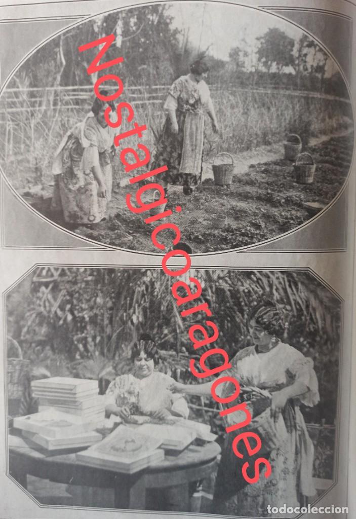 Coleccionismo de Revistas y Peri&oacute;dicos: Valencia recolecci&oacute;n fresa blanca traje regional Foto revista 1915