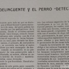 Coleccionismo de Revistas y Periódicos: BLOODHOUNDS-DOGO CUBANO-PERRO POLICIA. Lote 321986993