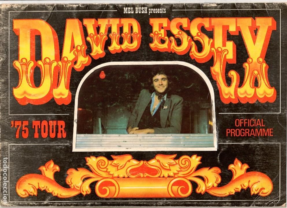 Collezionismo di Riviste e Giornali: REVISTA PROGRAMA TOUR BOOK DAVID ESSEX 1975