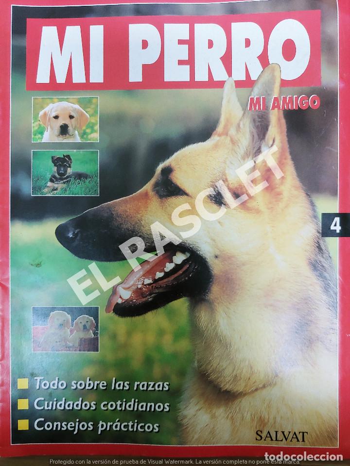 Collection Magazines and Newspapers: MI PERRO MI AMIGO - FASCICULO 4 -EDICIONES SALVAT
