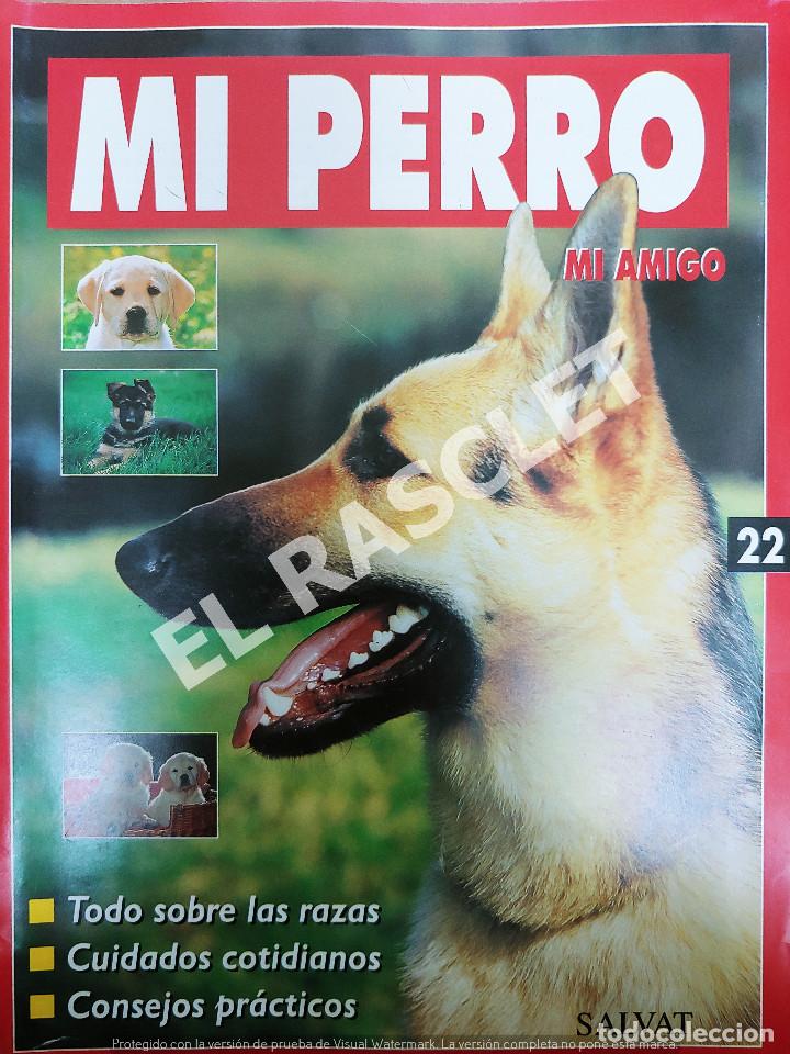 Collection Magazines and Newspapers: MI PERRO MI AMIGO - FASCICULO 22 -EDICIONES SALVAT