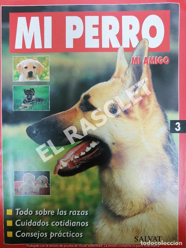 Collection Magazines and Newspapers: MI PERRO MI AMIGO - FASCICULO 3 -EDICIONES SALVAT