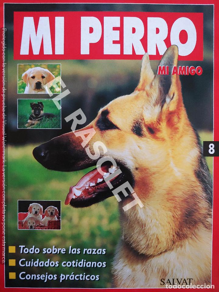 Collection Magazines and Newspapers: MI PERRO MI AMIGO - FASCICULO 8 -EDICIONES SALVAT