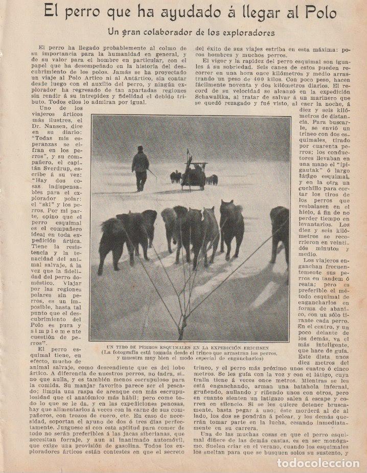 Collezionismo di Riviste e Giornali: El perro que ha ayudado a llegar al Polo: un gran colaborador de los exploradores - 1909