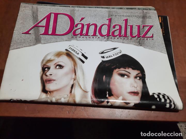 Collection Magazines and Newspapers: AD&Aacute;NDALUZ. REVISTA CULTURAL. 2002. GRAPA. DOBLADO. FORMATO REVISTA. BUEN ESTADO. DIFICIL