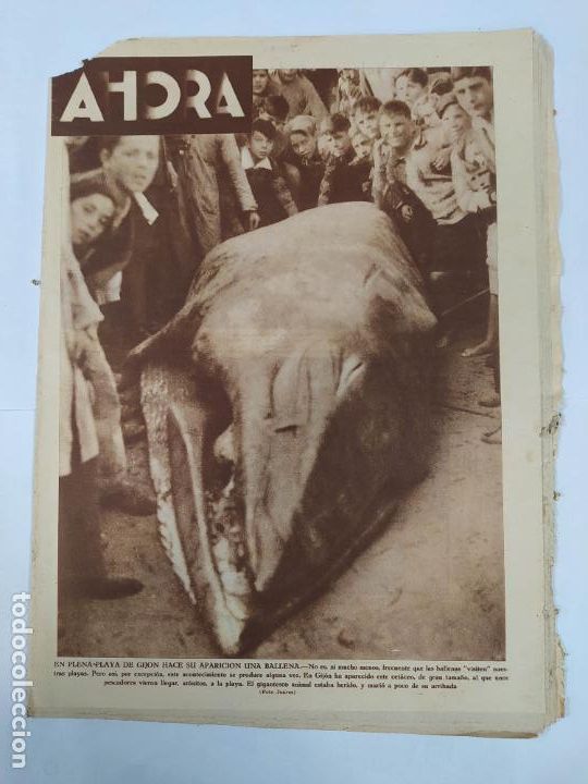 Collectionnisme de Revues et Journaux: DIARIO AHORA N&ordm; 898. 30 DE OCTUBRE DE 1933. BALLENA EN PLENA PLAYA DE GIJON. CAR223A