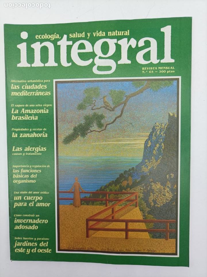 Collezionismo di Riviste e Giornali: INTEGRAL N.65