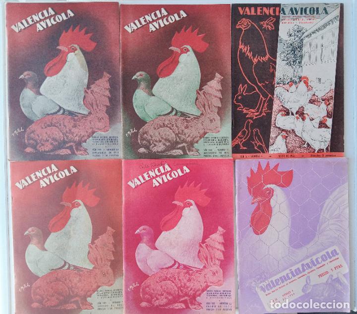 Collezionismo di Riviste e Giornali: LOTE DE 15 REVISTAS VALENCIA AV&Iacute;COLA. FINALES A&Ntilde;OS 50. VER FOTOS.
