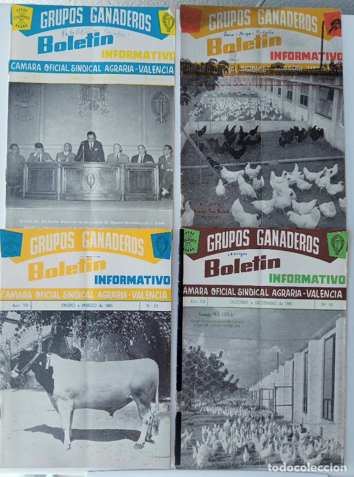 Collezionismo di Riviste e Giornali: BOLETIN INFORMATIVO GRUPOS GANADEROS CAMARA OFICIAL SINDICAL AGRARIA VALENCIA. N&ordm; 53, 56, 54, 55