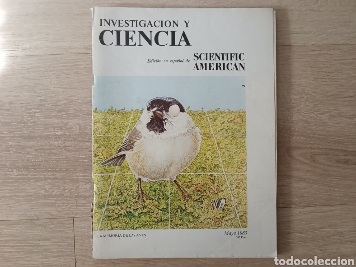 Collezionismo di Riviste e Giornali: REVISTA INVESTIGACI&Oacute;N Y CIENCIA (SCIENTIFIC AMERICAN) MAYO 1983