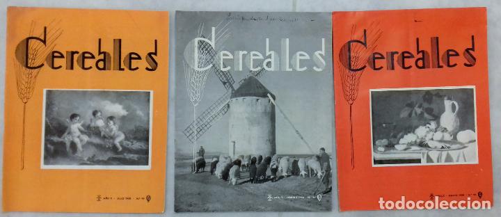 Collezionismo di Riviste e Giornali: CEREALES ORGANO INFORMATIVO DEL SINDICATO NACIONAL DE CEREALES. 1958. 3 N&Uacute;MEROS