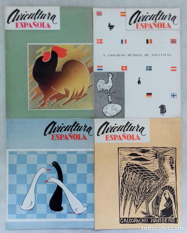 Coleccionismo de Revistas y Peri&oacute;dicos: AVICULTURA ESPA&Ntilde;OLA. 12 N&Uacute;MEROS. A&Ntilde;OS 50