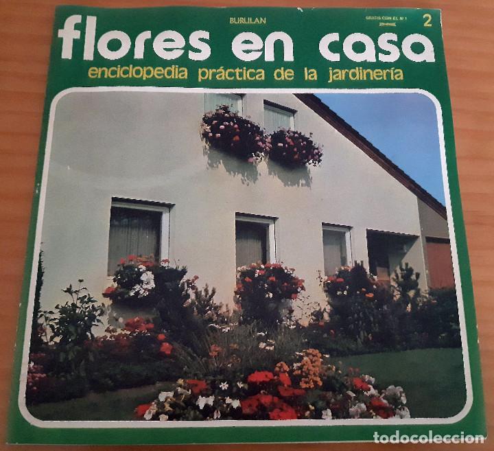 Collezionismo di Riviste e Giornali: FLORES EN CASA - N&Uacute;MERO 2 - A&Ntilde;O 1974 - CONTIENE SUE&Ntilde;OS EN TECHNICOLOR - MUY BUEN ESTADO