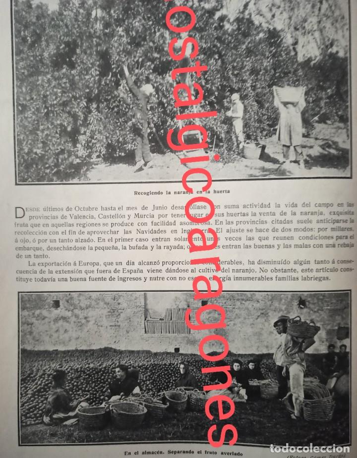 Collectionnisme de Revues et Journaux: Valencia proces&oacute; naranja del &aacute;rbol al muelle Foto Revista 191X