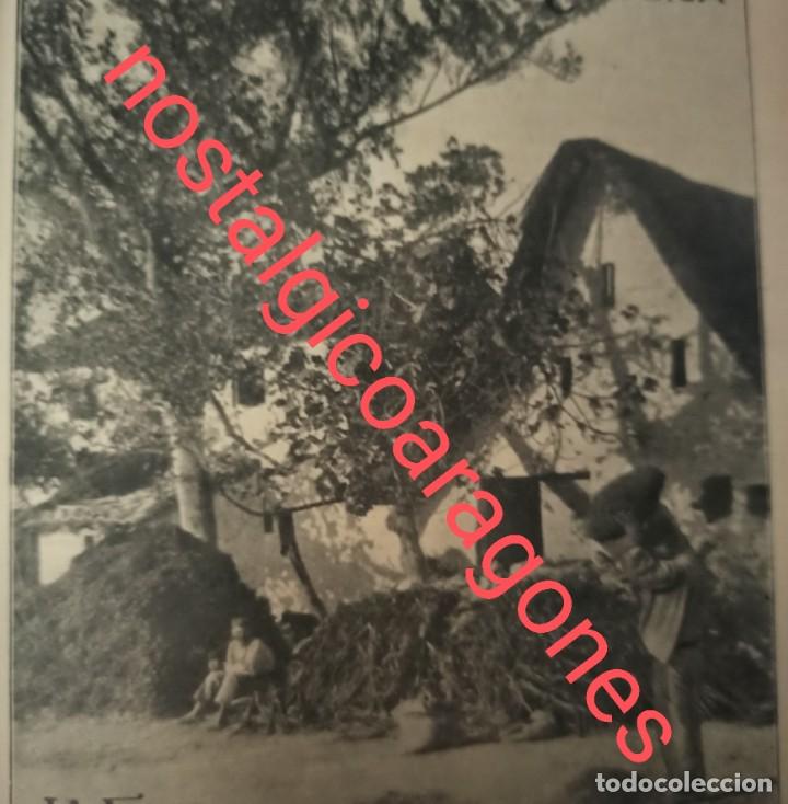 Colecionismo de Revistas e Jornais: Valencia selecci&oacute;n limpieza cacahuete foto revista 191X