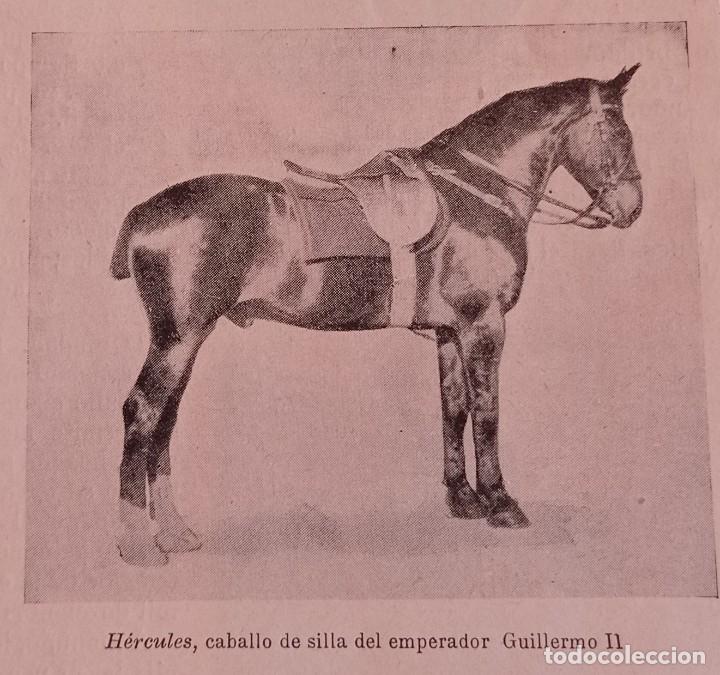 Coleccionismo de Revistas y Peri&oacute;dicos: GUILLERMO II DE ALEMANIA-EL KAISER-JINETE .