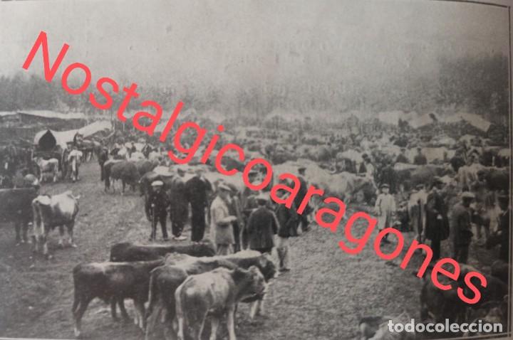 Collectionnisme de Revues et Journaux: Gerona feria ganado San Narciso foto revista 191X