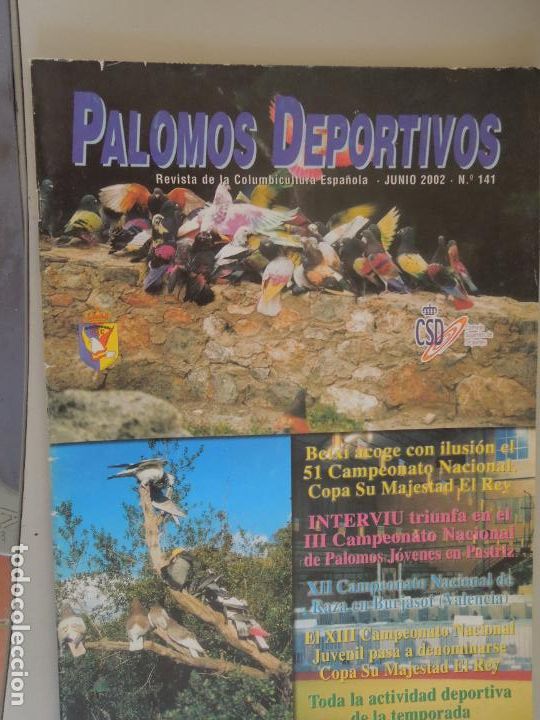 Collection Magazines and Newspapers: PALOMOS DEPORTIVOS , REVISTA DE LA COLOMBICULTURA ESPA&Ntilde;OLA N&ordm; 141-06-2002- VER SUMARIO