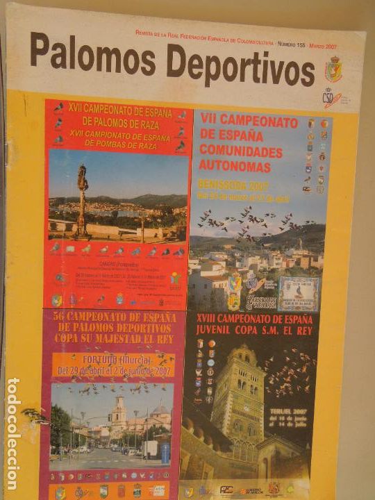 Collection Magazines and Newspapers: PALOMOS DEPORTIVOS , REVISTA DE LA COLOMBICULTURA ESPA&Ntilde;OLA N&ordm; 155- 03-2007- VER SUMARIO