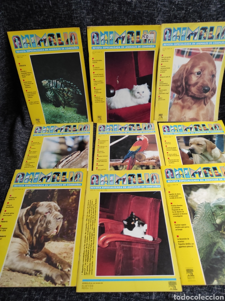 Coleccionismo de Revistas y Peri&oacute;dicos: ANIMALIA, REVISTA ESPECIALIZADA EN ANIMALES DE COMPA&Ntilde;IA LOTE DE 9 EJEMPLARES