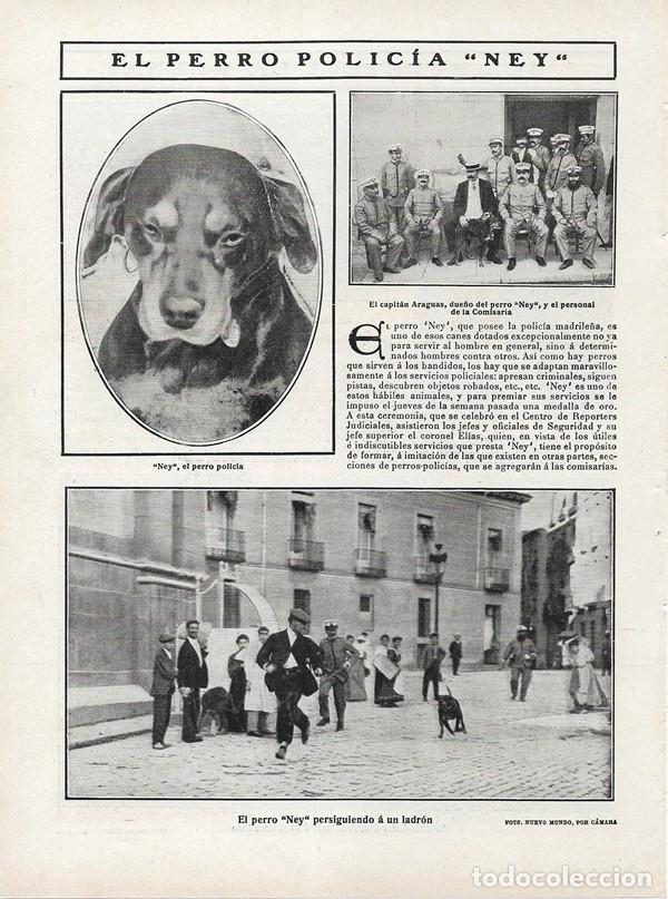 Colecionismo de Revistas e Jornais: 1908 HOJA REVISTA MADRID PERRO POLIC&Iacute;A NEY COMISAR&Iacute;A MADRILE&Ntilde;A CAPIT&Aacute;N ARAGUAS