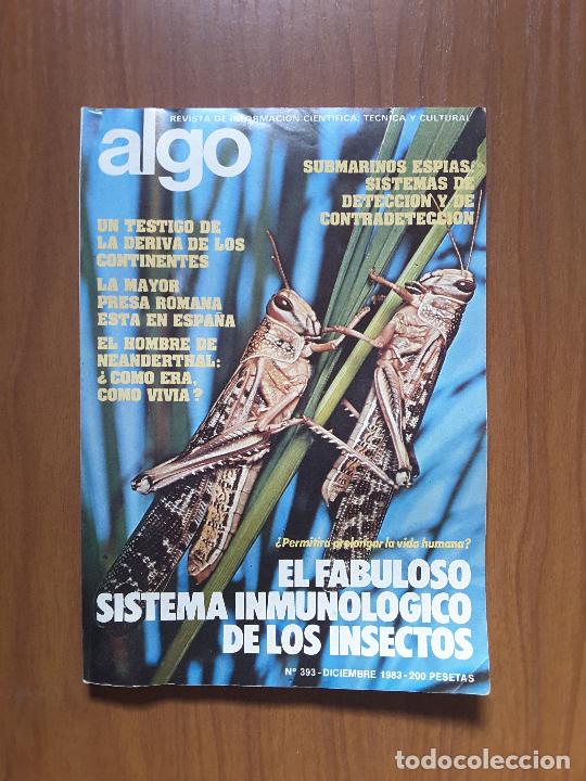 Sammeln von Zeitschriften und Zeitungen: Revista Algo 393
