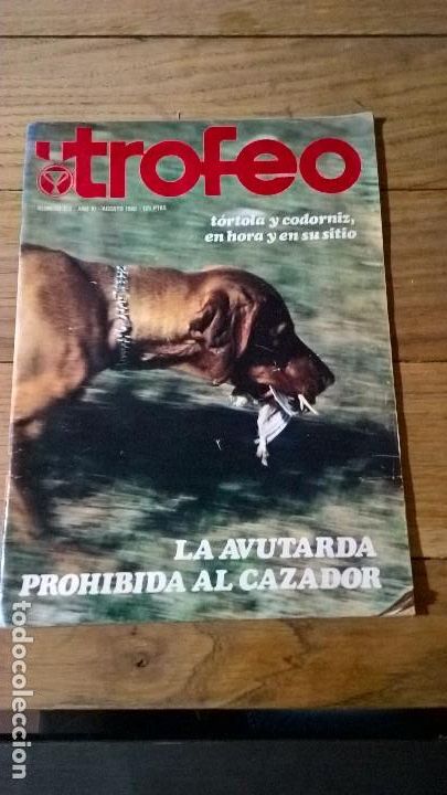 Sammeln von Zeitschriften und Zeitungen: Trofeo. N&uacute;mero 123. A&ntilde;o XI. Agosto 1980
