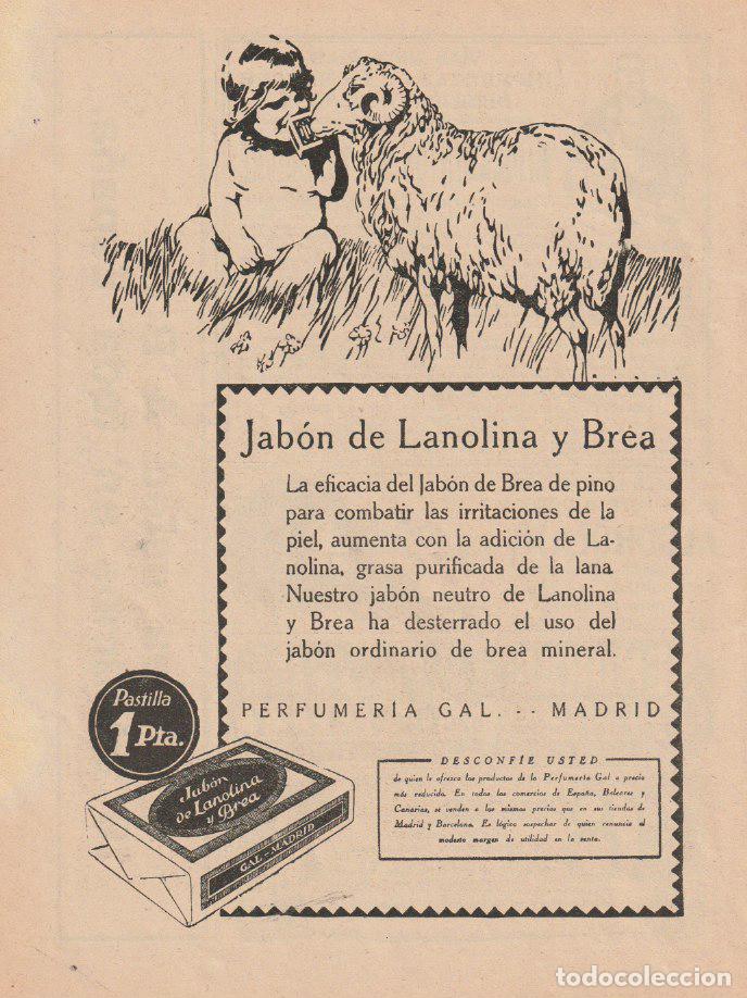 Coleccionismo de revistas y peri&oacute;dicos: Publicidad jab&oacute;n de lanolina y brea de perfumer&iacute;a Gal - 1924