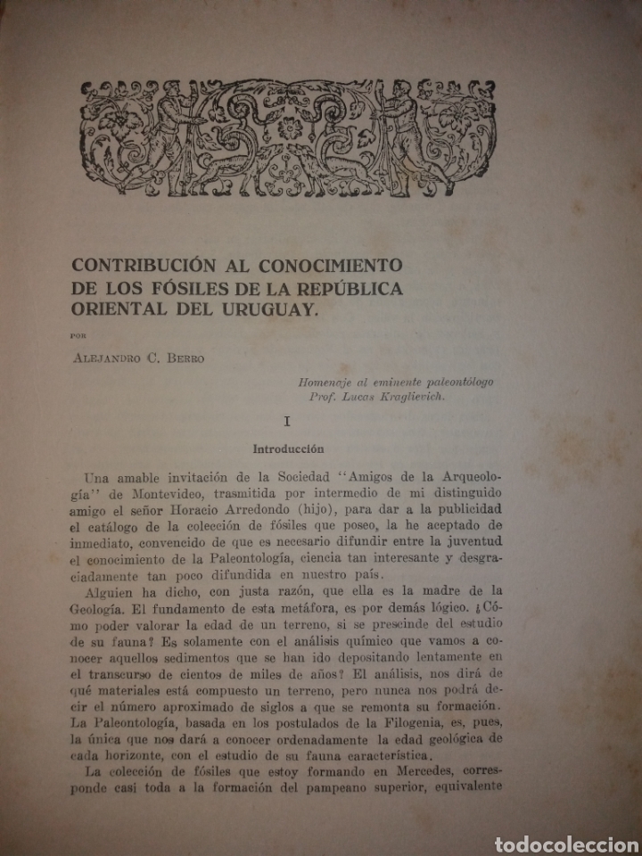 Collection Magazines and Newspapers: Fosiles Del Uruguay coleccion Alejandro Berro Mercedes 1927 Catalogo separata 55 p&aacute;ginas ilustrada