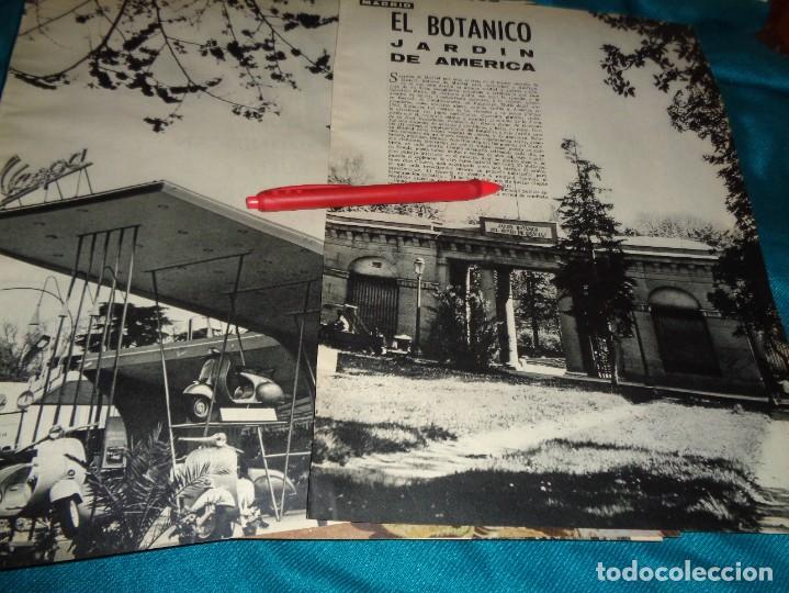 Coleccionismo de revistas y peri&oacute;dicos: RECORTE : EL JARDIN BOTANICO DE MADRID. MUNDO HISPANICO, MAYO 1959