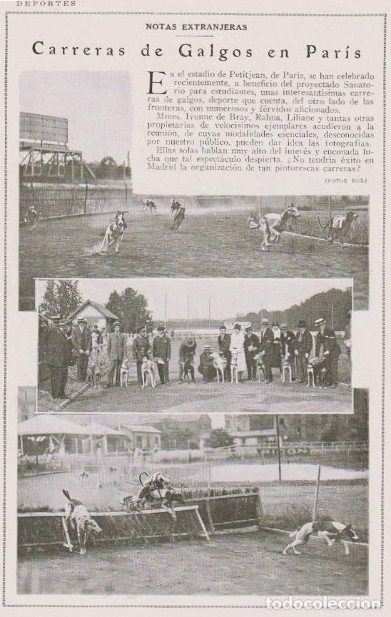 Coleccionismo de revistas y peri&oacute;dicos: Carreras de galgos en Par&iacute;s -1925