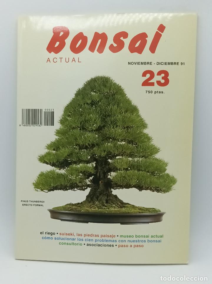 Collezionismo di Riviste e Giornali: BONSAI ACTUAL N.23