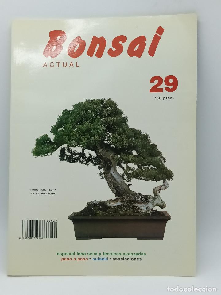 Collection Magazines and Newspapers: BONSAI ACTUAL N.29