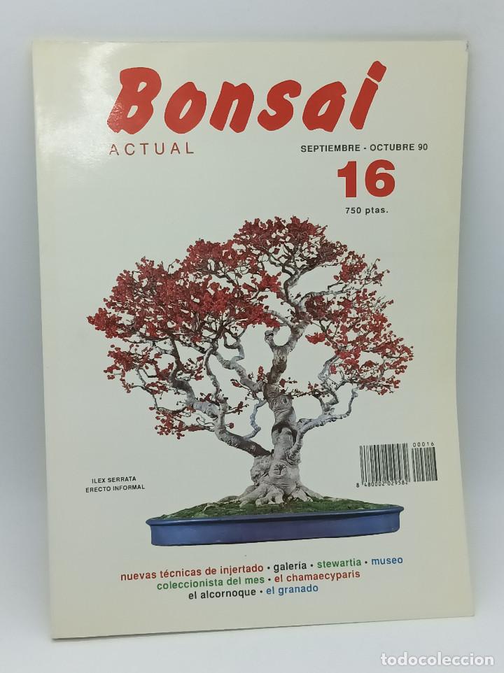 Collezionismo di Riviste e Giornali: BONSAI ACTUAL N.16