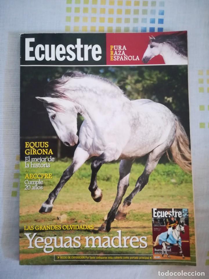 Collection Magazines and Newspapers: Revista ecuestre 297 noviembre 2007 pura raza espa&ntilde;ola yeguadas madres **