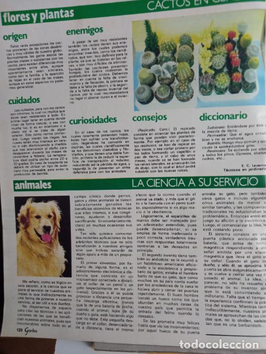 Coleccionismo de Revistas y Peri&oacute;dicos: PERROS Y CACTUS