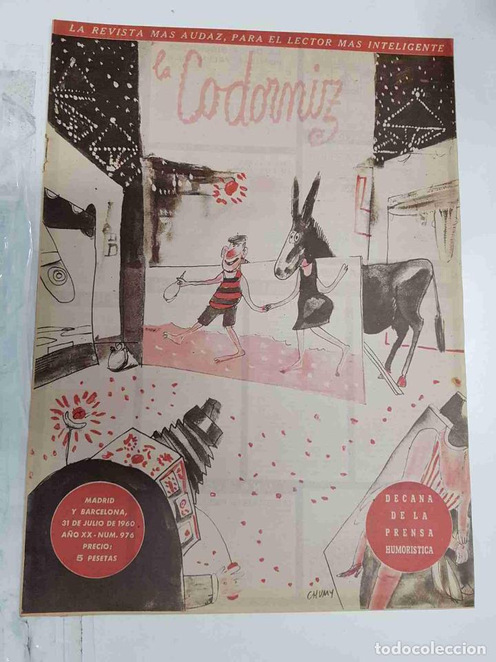 Coleccionismo de Revistas y Peri&oacute;dicos: Revista la Codorniz: num 0976, A&ntilde;o XX, 31 de Julio de 1960 - Verano 1960
