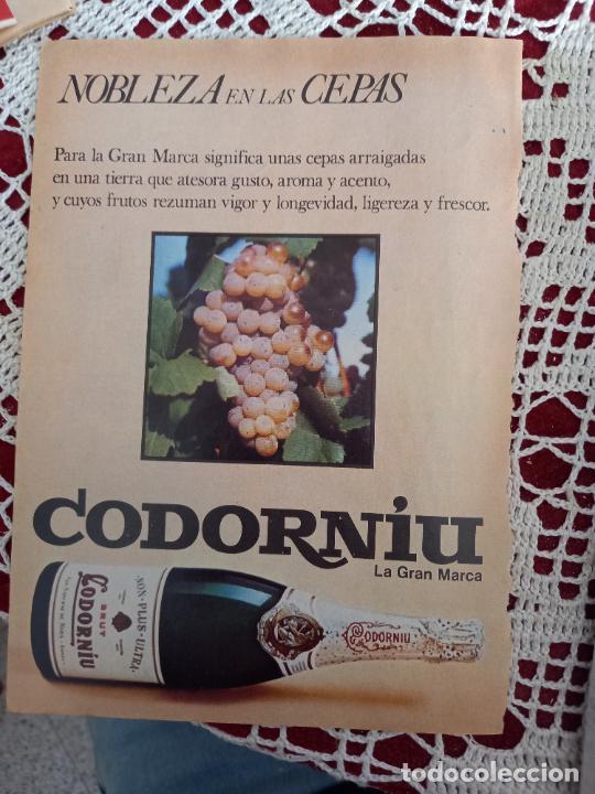 Coleccionismo de revistas y peri&oacute;dicos: RECORTES ANUNCIO CAVA CODORNIU